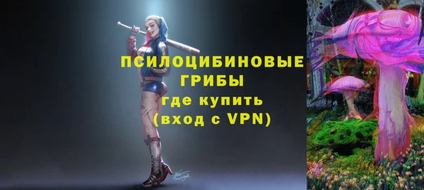 2c-b Алексин