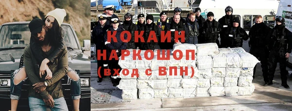 хмурый Алзамай