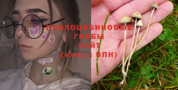 хмурый Алзамай