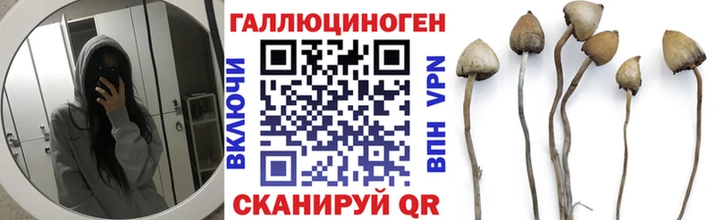 KRAKEN   Адыгейск  Галлюциногенные грибы мухоморы 